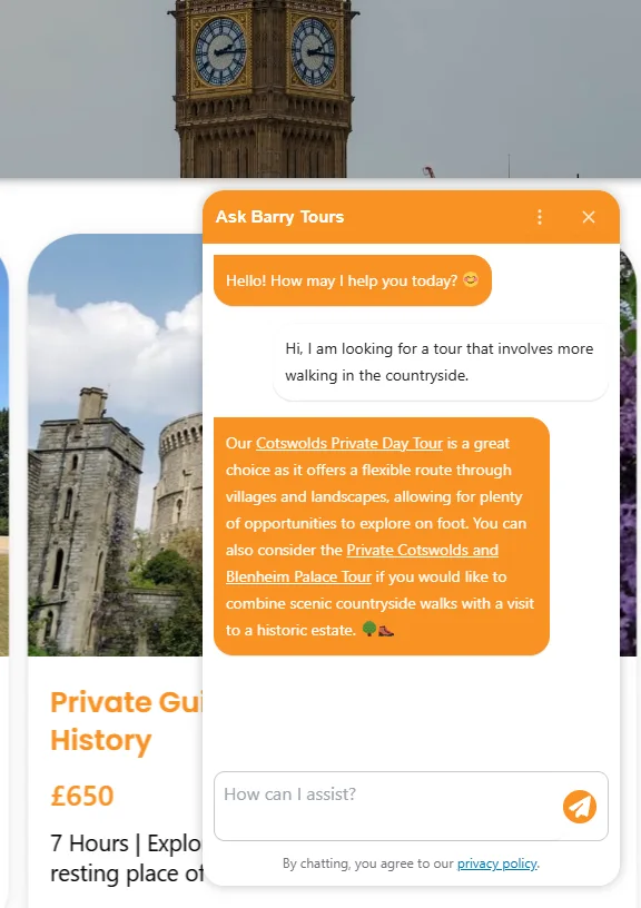 Barry Tours website chat assistance